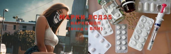 прущие грибы Алексин
