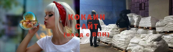 прущие грибы Алексин