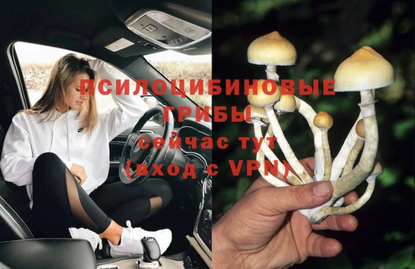 прущие грибы Алексин