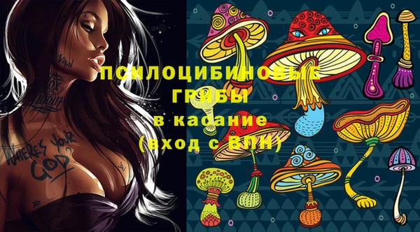 дмт Алзамай